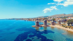 Chios Studios with Garden and BBQ, Near Lefkathia Beach